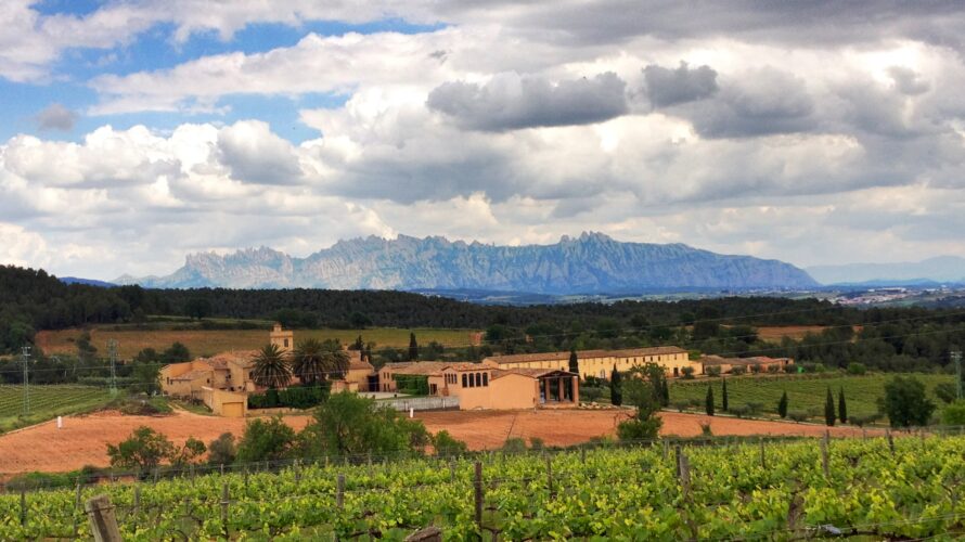 スペインのスパークリングワイン革命