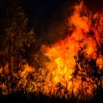 ボルドーを襲う火災、ヴィンテージへの懸念