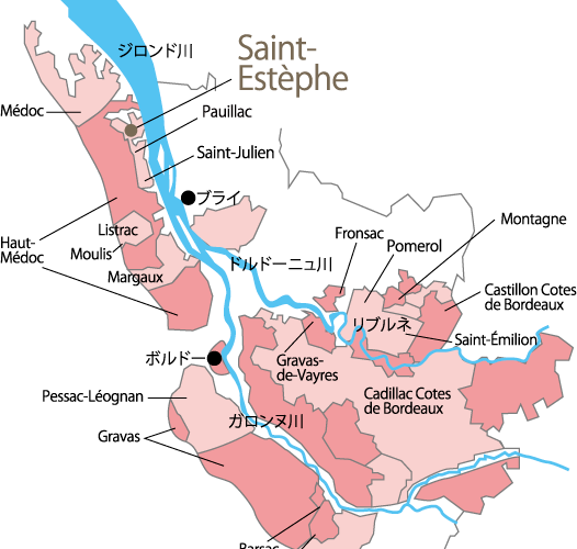 SaintEstephe（サン・テステフ） Tell me Wine by Firadis