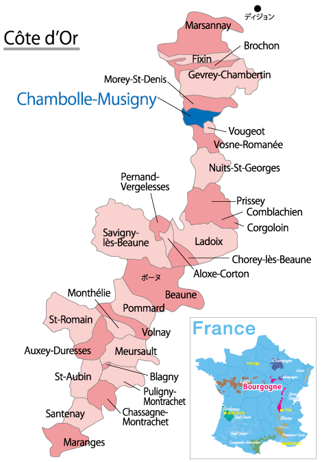 Chambolle-Musigny（シャンボール・ミュジニー） | Tell me Wine by