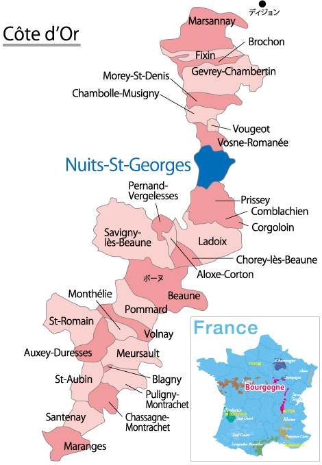 Nuits-Saint-Georges （ニュイ・サン・ジョルジュ） | Tell me Wine by