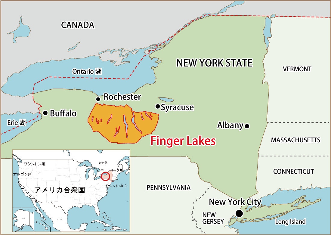 Finger Lakes（フィンガー・レイクス）